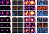 Thumbnail: Fig. 2. Refer to the following caption and surrounding text.