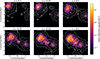 Thumbnail: Fig. 4. Refer to the following caption and surrounding text.