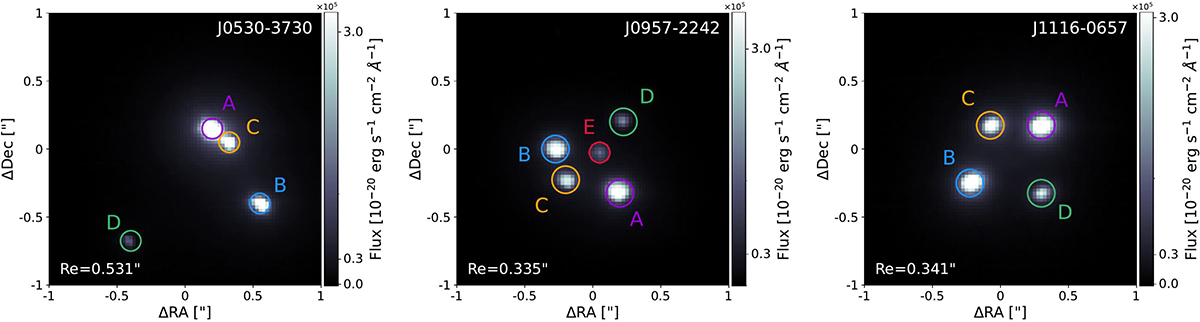Fig. 3. Refer to the following caption and surrounding text.