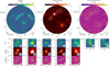 Thumbnail: Fig. 1 Refer to the following caption and surrounding text.