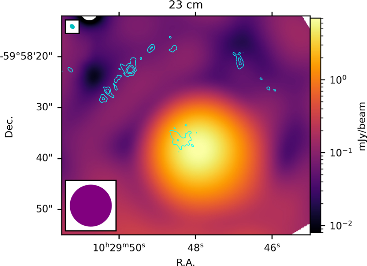 Fig. 2 Refer to the following caption and surrounding text.