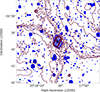 Thumbnail: Fig. 3. Refer to the following caption and surrounding text.