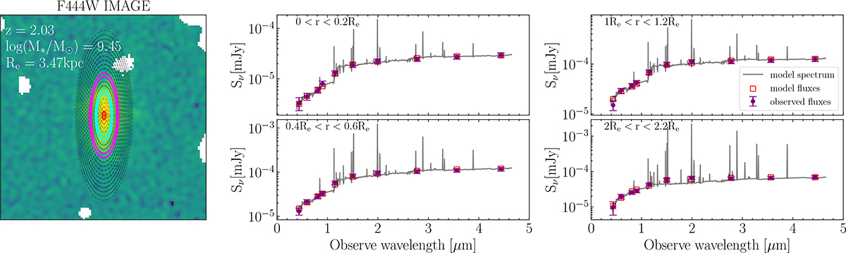 Fig. 3. Refer to the following caption and surrounding text.