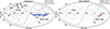 Thumbnail: Fig. 1. Refer to the following caption and surrounding text.