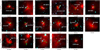 Thumbnail: Fig. 4 Refer to the following caption and surrounding text.