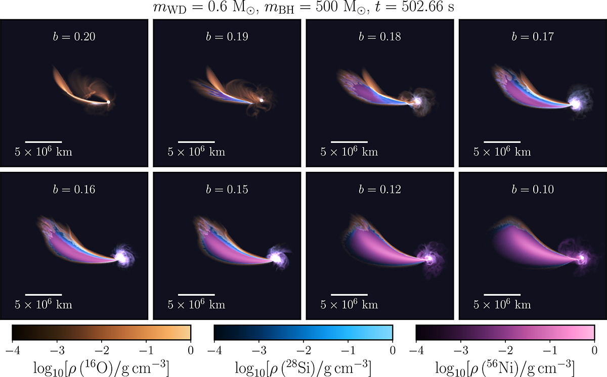 Fig. 3. Refer to the following caption and surrounding text.