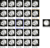 Thumbnail: Fig. 7 Refer to the following caption and surrounding text.