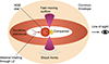 Thumbnail: Fig. 17. Refer to the following caption and surrounding text.