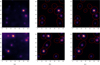 Thumbnail: Fig. 12 Refer to the following caption and surrounding text.
