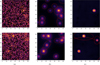 Thumbnail: Fig. 15 Refer to the following caption and surrounding text.