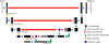Thumbnail: Fig. 3 Refer to the following caption and surrounding text.