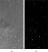 Thumbnail: Fig. 9 Refer to the following caption and surrounding text.