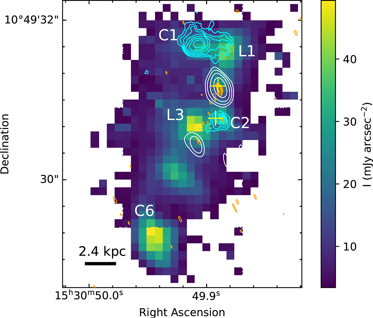 Fig. 7. Refer to the following caption and surrounding text.