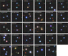 Thumbnail: Fig. 11 Refer to the following caption and surrounding text.