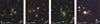 Thumbnail: Fig. 1 Refer to the following caption and surrounding text.