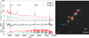 Thumbnail: Fig. 9 Refer to the following caption and surrounding text.