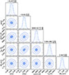 Thumbnail: Fig. C.1. Refer to the following caption and surrounding text.