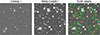 Thumbnail: Fig. 9. Refer to the following caption and surrounding text.