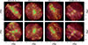 Thumbnail: Fig. 8. Refer to the following caption and surrounding text.