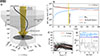 Thumbnail: Fig. 1. Refer to the following caption and surrounding text.