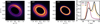 Thumbnail: Fig. 12 Refer to the following caption and surrounding text.