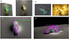 Thumbnail: Fig. 16. Refer to the following caption and surrounding text.
