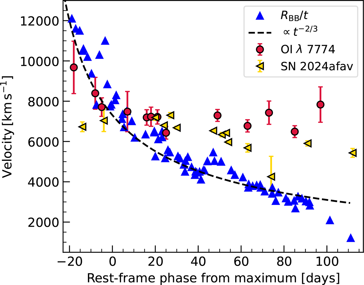 Fig. 4. Refer to the following caption and surrounding text.