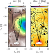 Thumbnail: Fig. 11 Refer to the following caption and surrounding text.