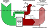 Thumbnail: Fig. 13 Refer to the following caption and surrounding text.