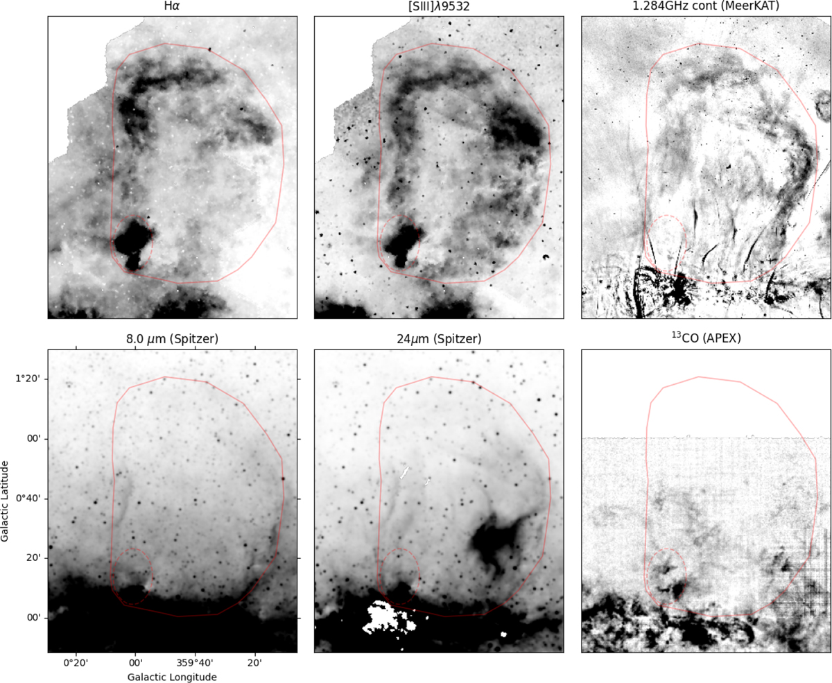 Fig. 4 Refer to the following caption and surrounding text.