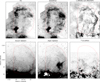 Thumbnail: Fig. 4 Refer to the following caption and surrounding text.