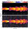 Thumbnail: Fig. 1 Refer to the following caption and surrounding text.