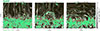 Thumbnail: Fig. 1. Refer to the following caption and surrounding text.