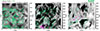 Thumbnail: Fig. 7. Refer to the following caption and surrounding text.