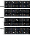 Thumbnail: Fig. B.1. Refer to the following caption and surrounding text.