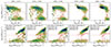 Thumbnail: Fig. 8. Refer to the following caption and surrounding text.