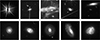 Thumbnail: Fig. 15. Refer to the following caption and surrounding text.