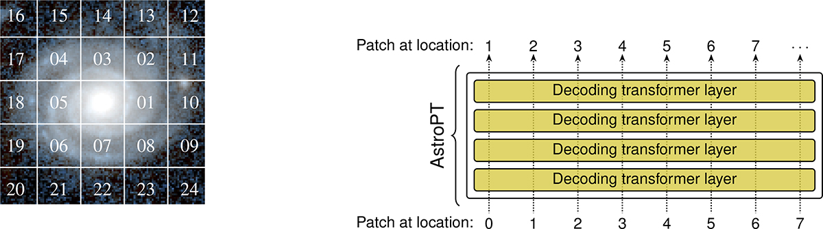 Fig. 5. Refer to the following caption and surrounding text.