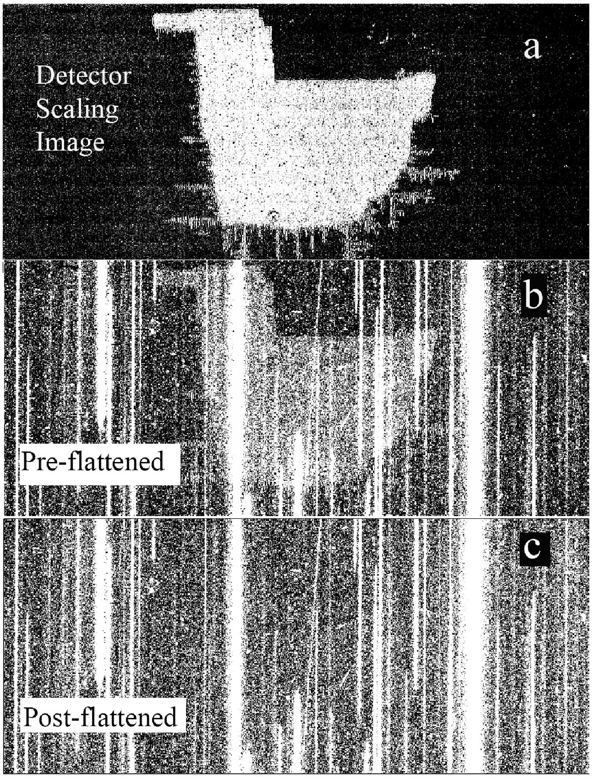 Fig. 2. Refer to the following caption and surrounding text.