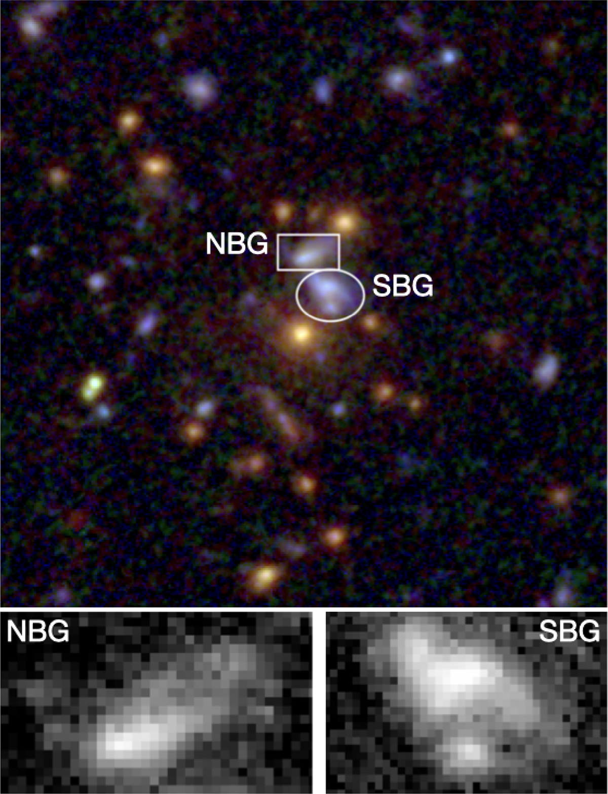 Fig. 10. Refer to the following caption and surrounding text.