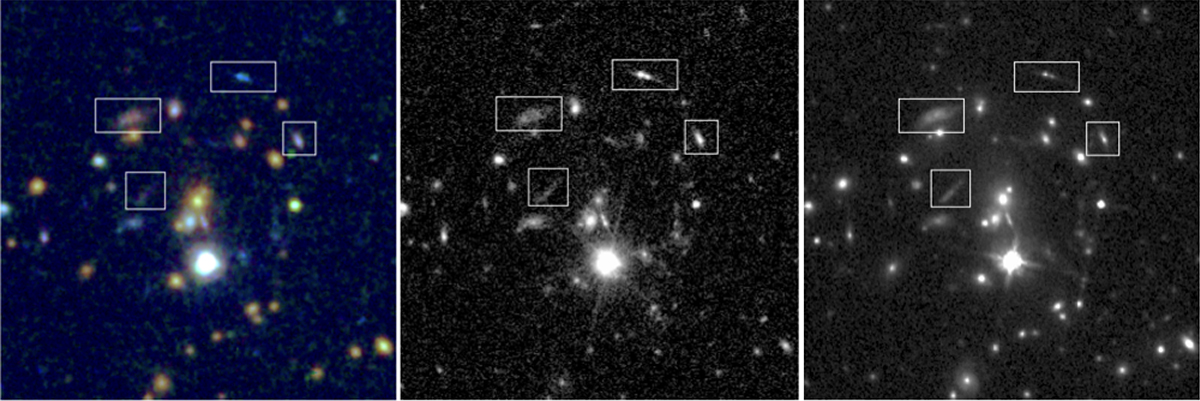 Fig. 9. Refer to the following caption and surrounding text.