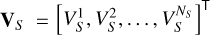 Mathematical equation: ${{\bf{V}}_S} = {\left[ {V_S^1,V_S^2, \ldots ,V_S^{{N_S}}} \right]^{\rm{T}}}$