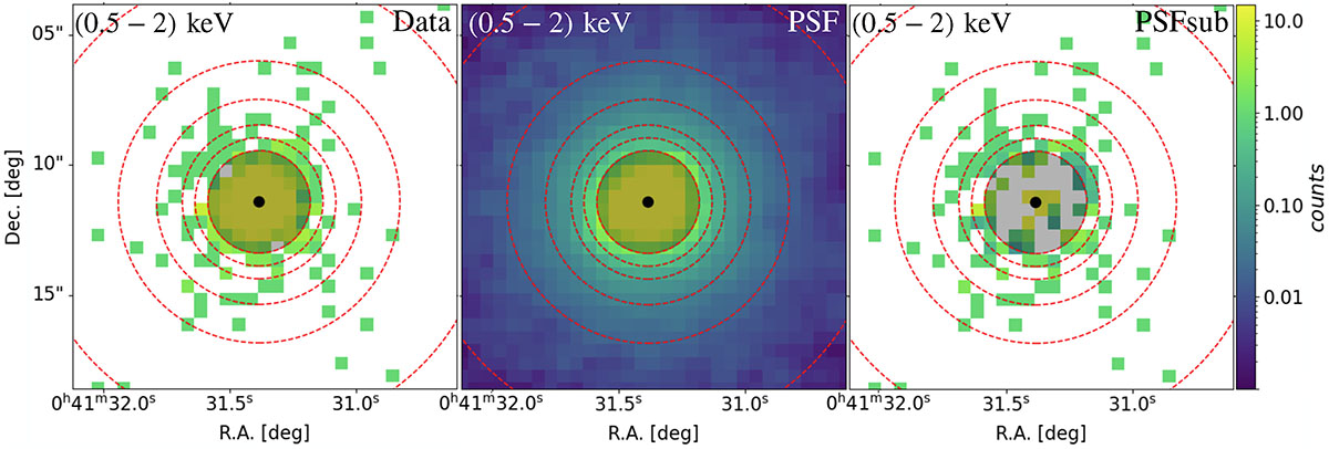 Fig. 2. Refer to the following caption and surrounding text.