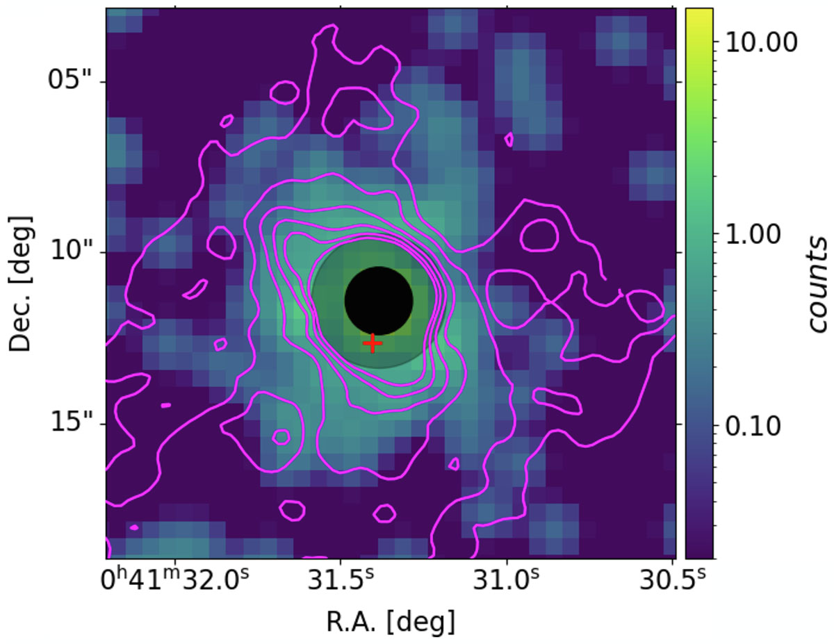 Fig. 3. Refer to the following caption and surrounding text.