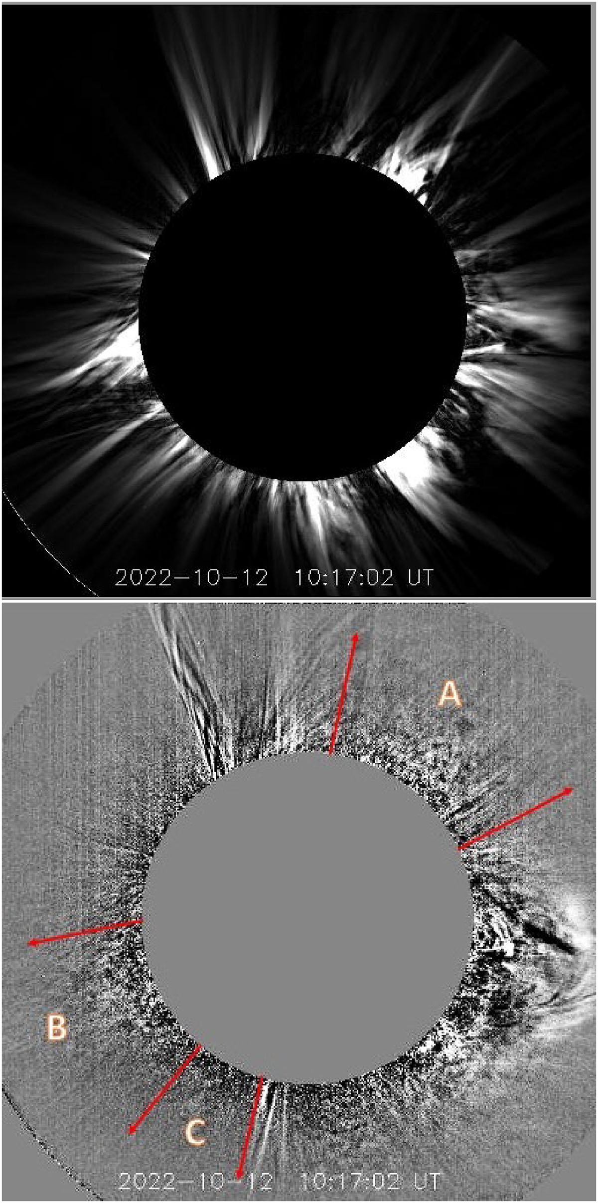 Fig. 2. Refer to the following caption and surrounding text.