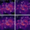 Thumbnail: Fig. 3 Refer to the following caption and surrounding text.