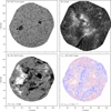 Thumbnail: Fig. 14 Refer to the following caption and surrounding text.