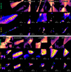 Thumbnail: Fig. 1 Refer to the following caption and surrounding text.