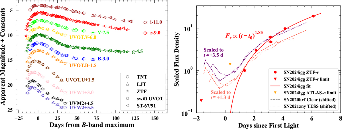 Fig. 2. Refer to the following caption and surrounding text.