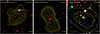 Thumbnail: Fig. 4. Refer to the following caption and surrounding text.